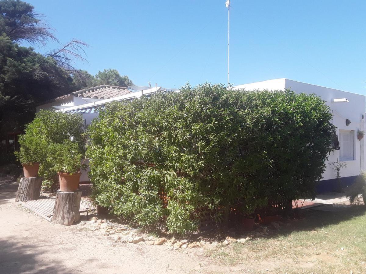 En Finca Las Dunas Dos Chalets Con Jacuzzis En Primera Linea De Playa , Uno De 4 Dormitorios Y Otro De 2 Dormitorios, Llama Al Seiscientos Veintisiete Cuatrocientos Diecisiete Trescientos Noventa Y Ocho Rota Kültér fotó