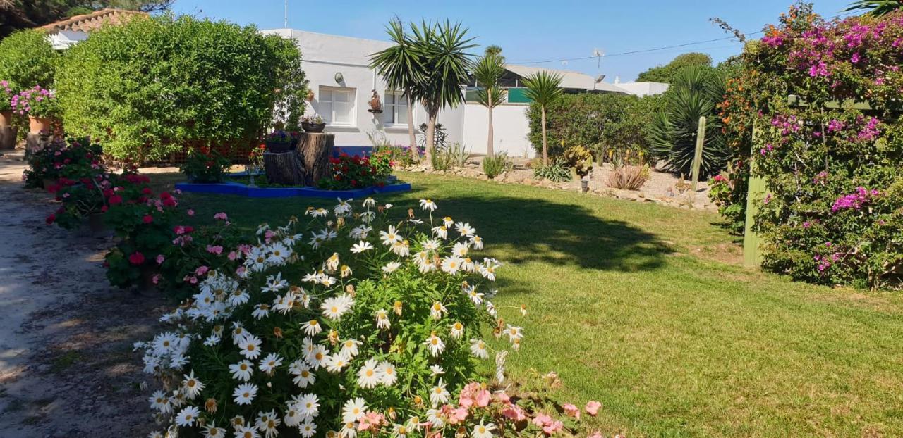 En Finca Las Dunas Dos Chalets Con Jacuzzis En Primera Linea De Playa , Uno De 4 Dormitorios Y Otro De 2 Dormitorios, Llama Al Seiscientos Veintisiete Cuatrocientos Diecisiete Trescientos Noventa Y Ocho Rota Kültér fotó