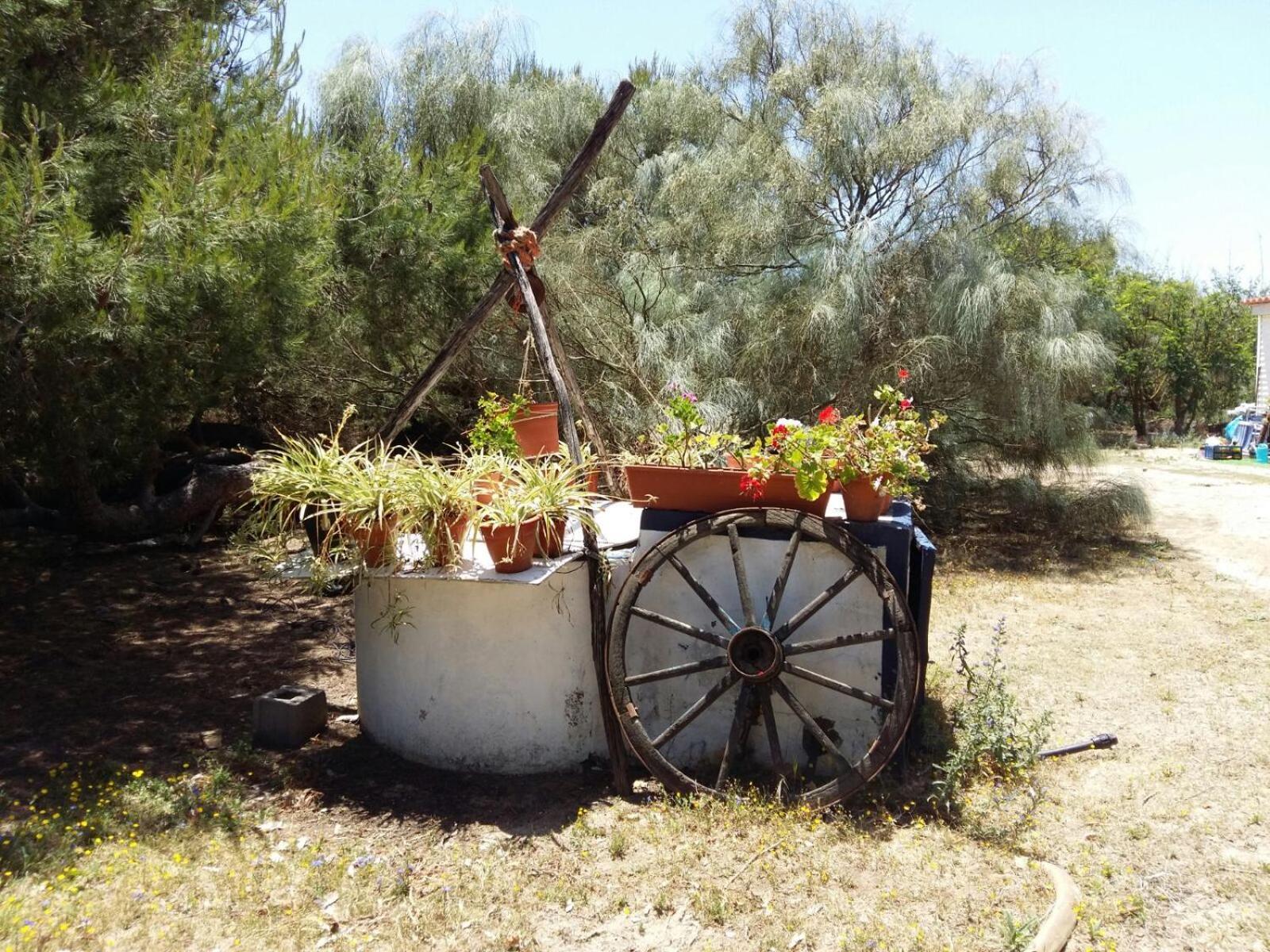 En Finca Las Dunas Dos Chalets Con Jacuzzis En Primera Linea De Playa , Uno De 4 Dormitorios Y Otro De 2 Dormitorios, Llama Al Seiscientos Veintisiete Cuatrocientos Diecisiete Trescientos Noventa Y Ocho Rota Kültér fotó