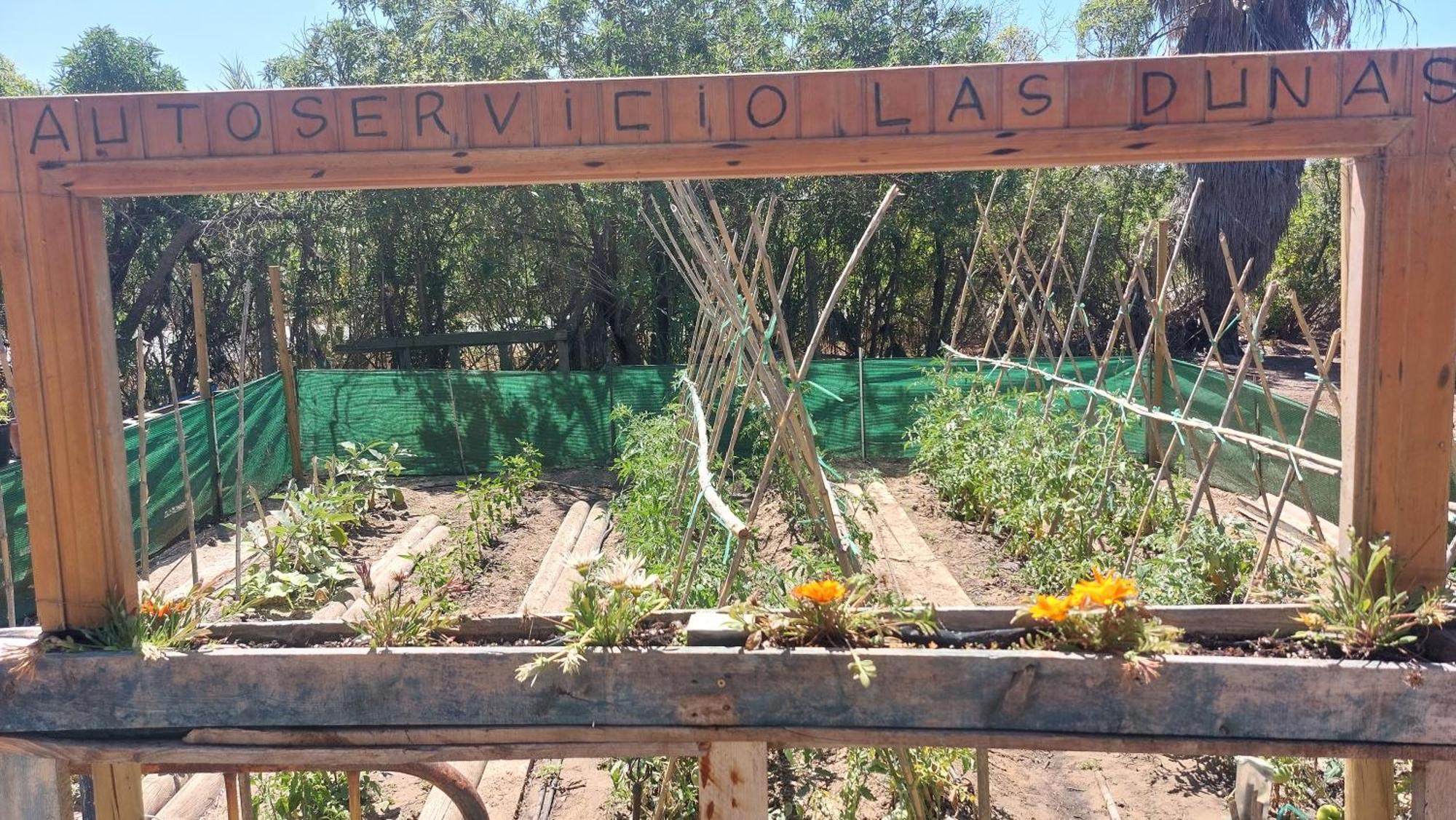 En Finca Las Dunas Dos Chalets Con Jacuzzis En Primera Linea De Playa , Uno De 4 Dormitorios Y Otro De 2 Dormitorios, Llama Al Seiscientos Veintisiete Cuatrocientos Diecisiete Trescientos Noventa Y Ocho Rota Szoba fotó