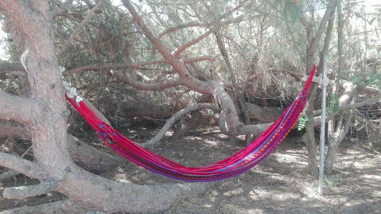 En Finca Las Dunas Dos Chalets Con Jacuzzis En Primera Linea De Playa , Uno De 4 Dormitorios Y Otro De 2 Dormitorios, Llama Al Seiscientos Veintisiete Cuatrocientos Diecisiete Trescientos Noventa Y Ocho Rota Kültér fotó