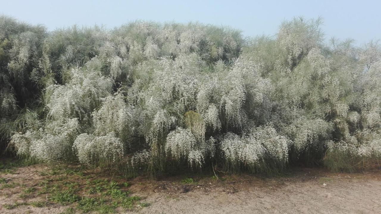 En Finca Las Dunas Dos Chalets Con Jacuzzis En Primera Linea De Playa , Uno De 4 Dormitorios Y Otro De 2 Dormitorios, Llama Al Seiscientos Veintisiete Cuatrocientos Diecisiete Trescientos Noventa Y Ocho Rota Kültér fotó